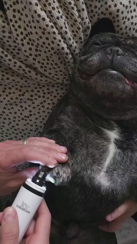 Hund får klor slipade med MAX, skonsamt, snabbt och tyst. 